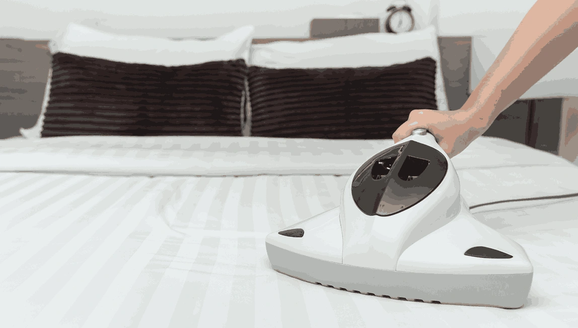 Professional Mattress Cleaning Leopold